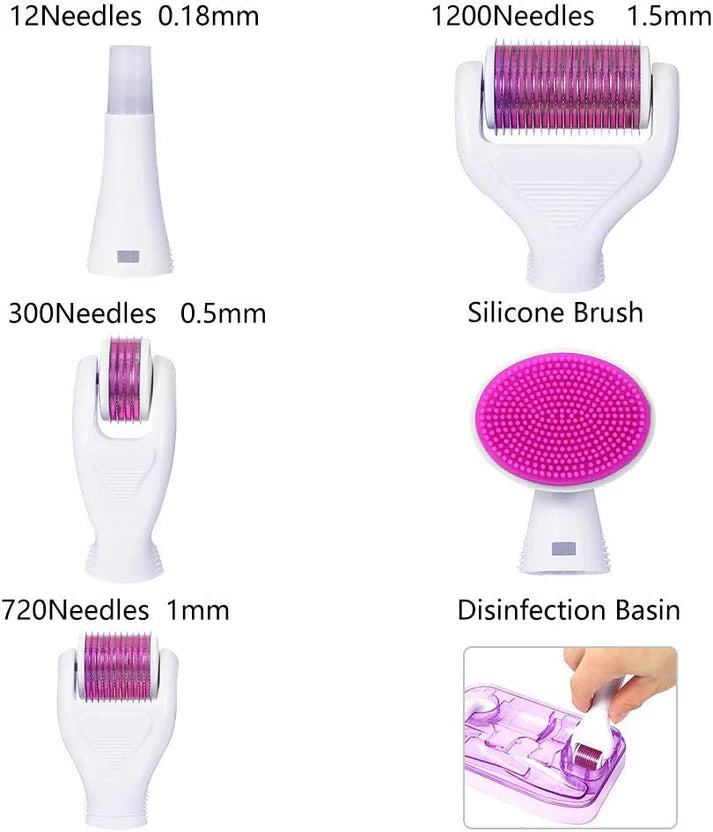 6-in-1 Microneedling Derma Roller Kit