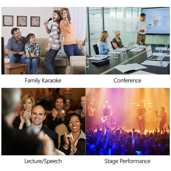 High-Quality Dual-Use Vocal Microphone